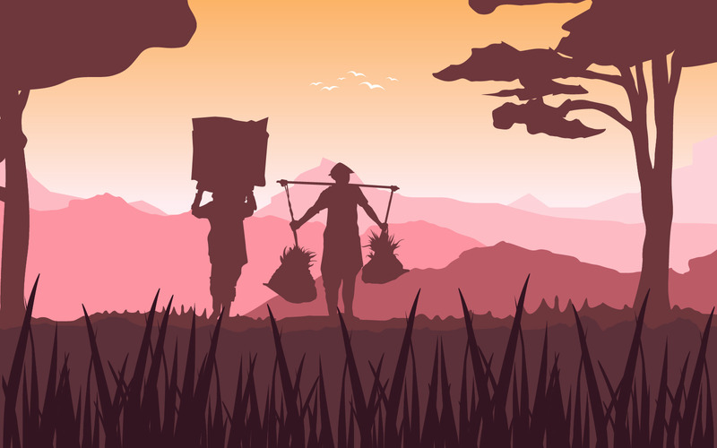 Agricultura de campo de arroz - Ilustración - Características Imagen 1
