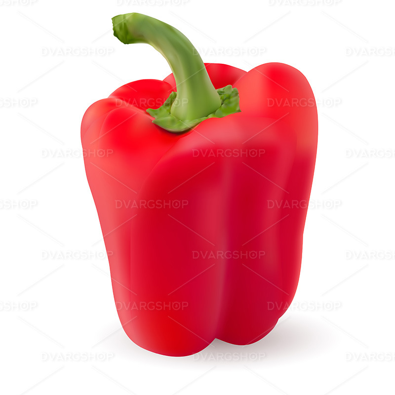 One Red Pepper - Vector Image - Features Image 1