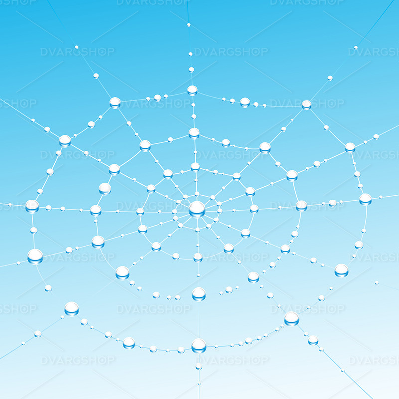 Spiderweb - Vector Image - Features Image 1