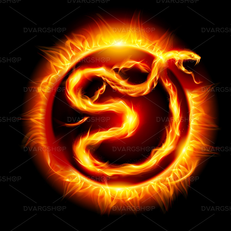 Card with Snake - Vector Image - Features Image 1