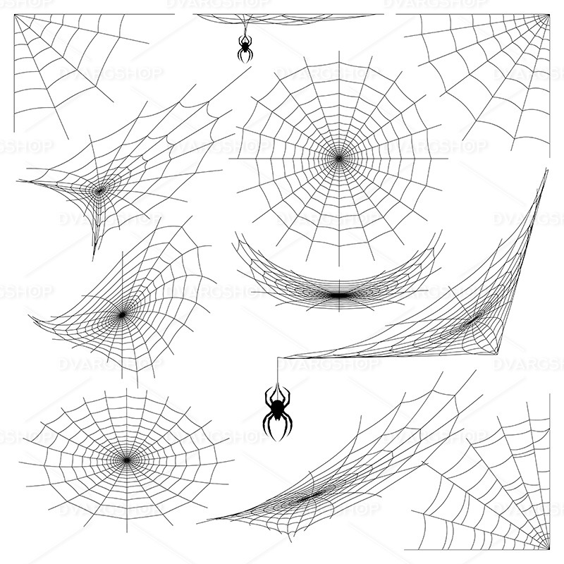 Spider Web - Vector Image - Features Image 1
