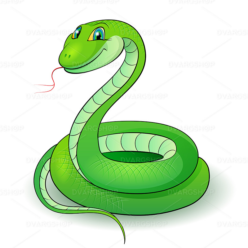 Green Snake - Vector Image - Features Image 1