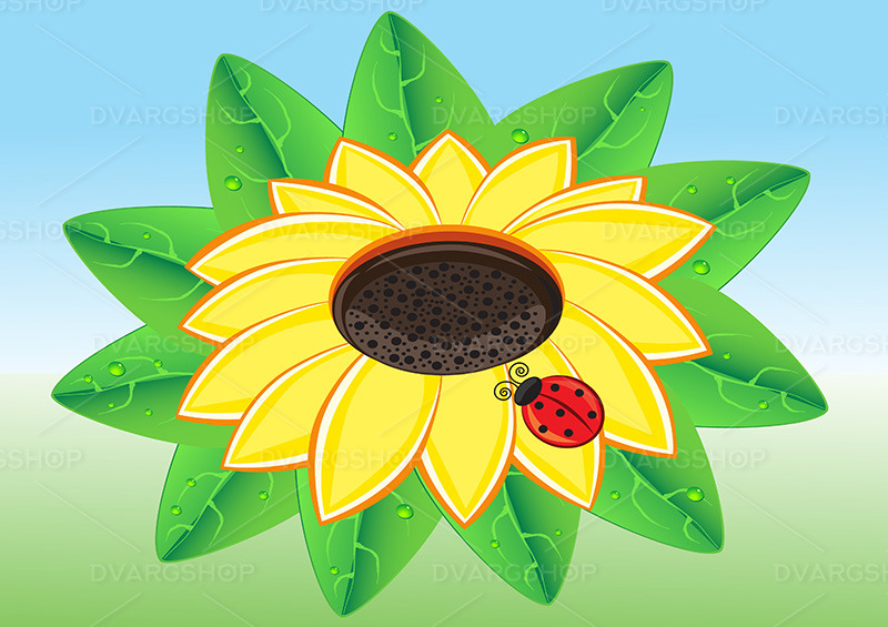 Ladybug on a Sunflowe - Vector Image - Features Image 1