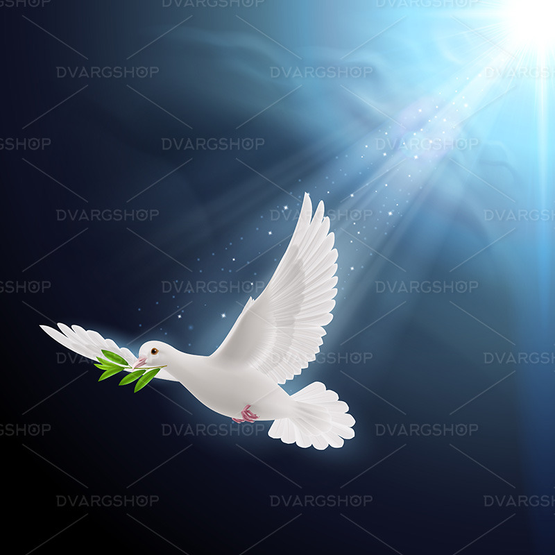 Fly Dove - Vector Image - Features Image 1
