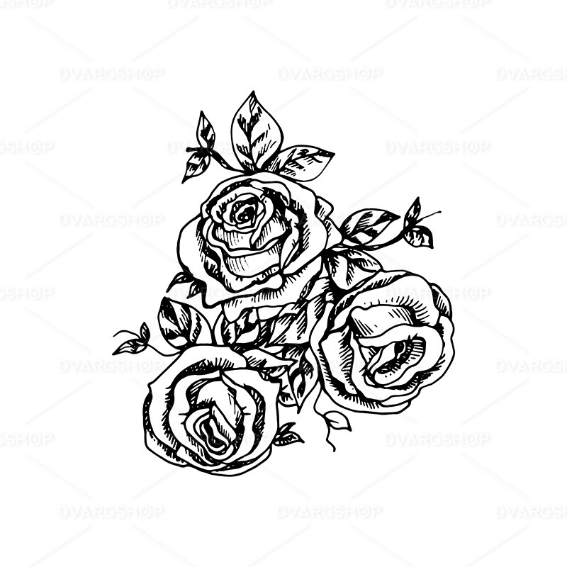 Garden Roses - Vector Image - Features Image 1