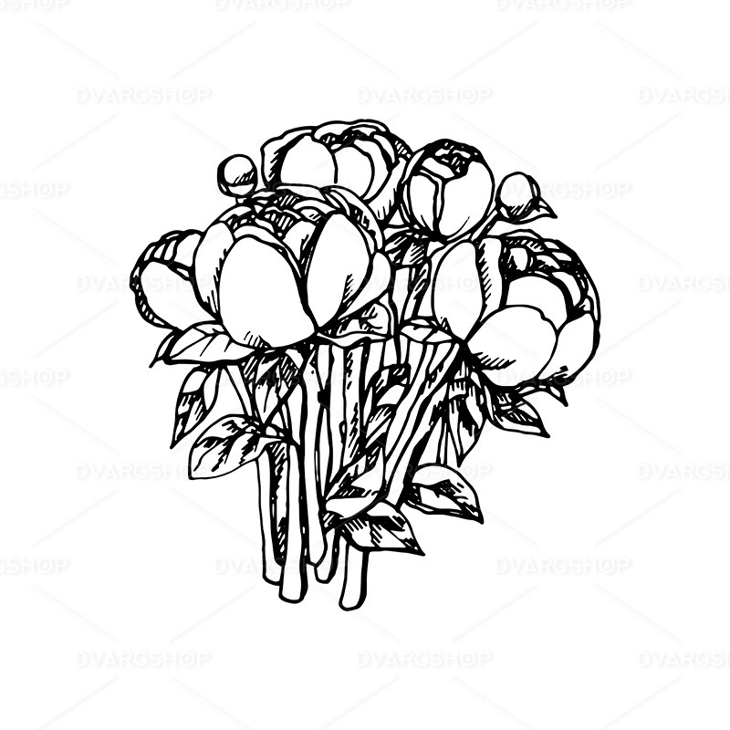 Peony - Vector Image - Features Image 1