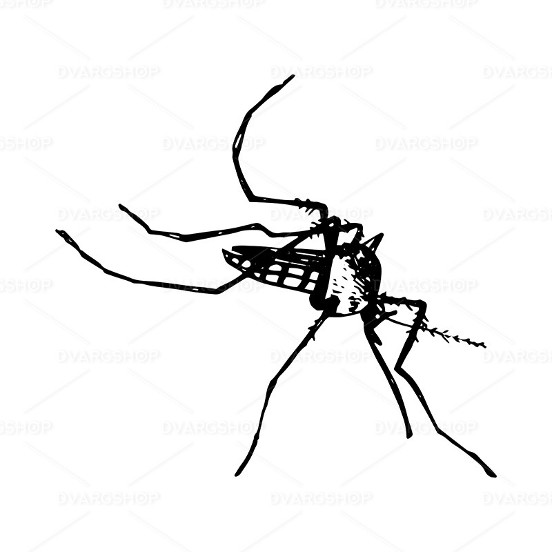 Mosquito Icon - Vector Image - Features Image 1