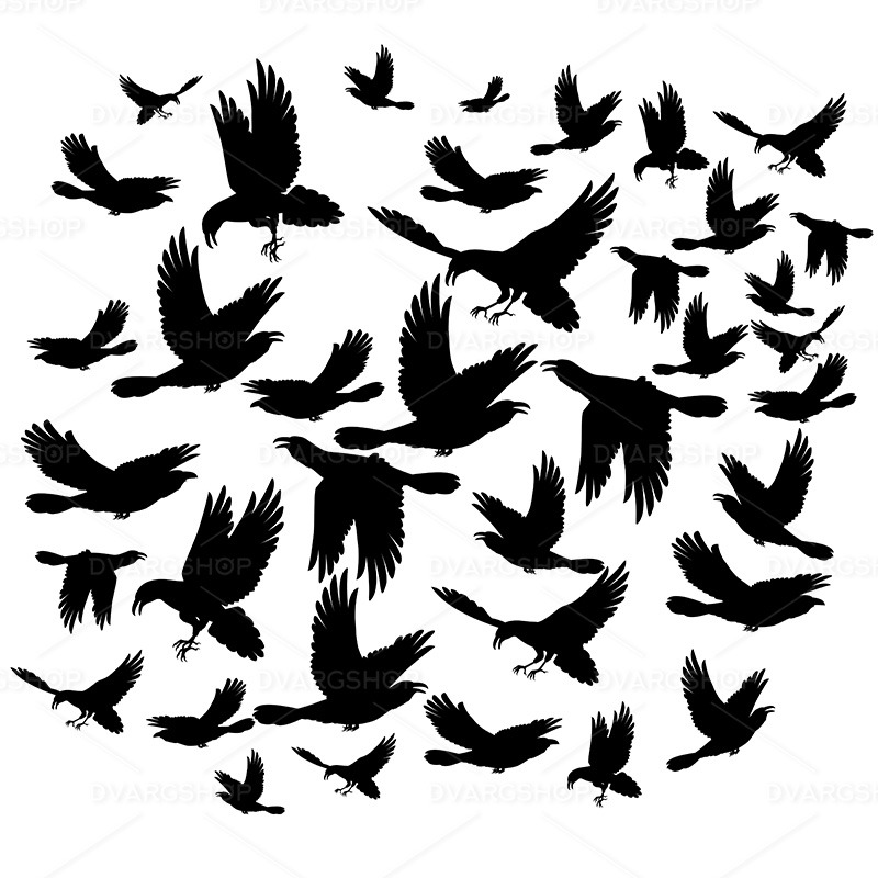 Black Ravens - Vector Image - Features Image 1