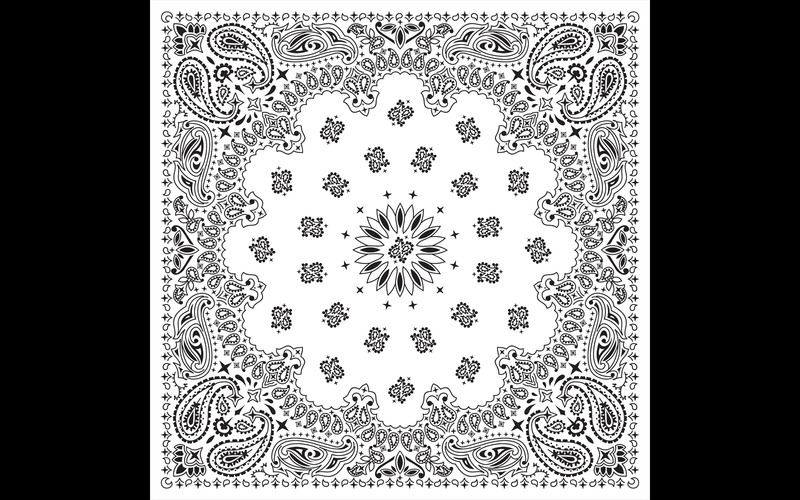 Bandana White - Illustration - Features Image 1