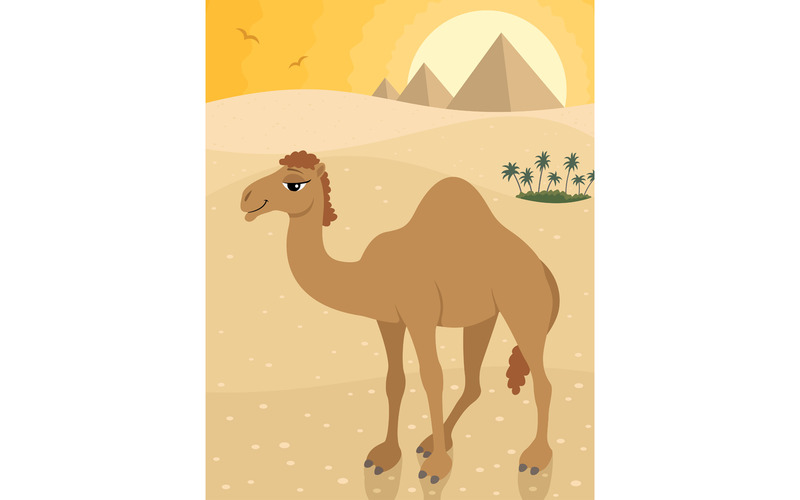 Camel - Illustration - Features Image 1
