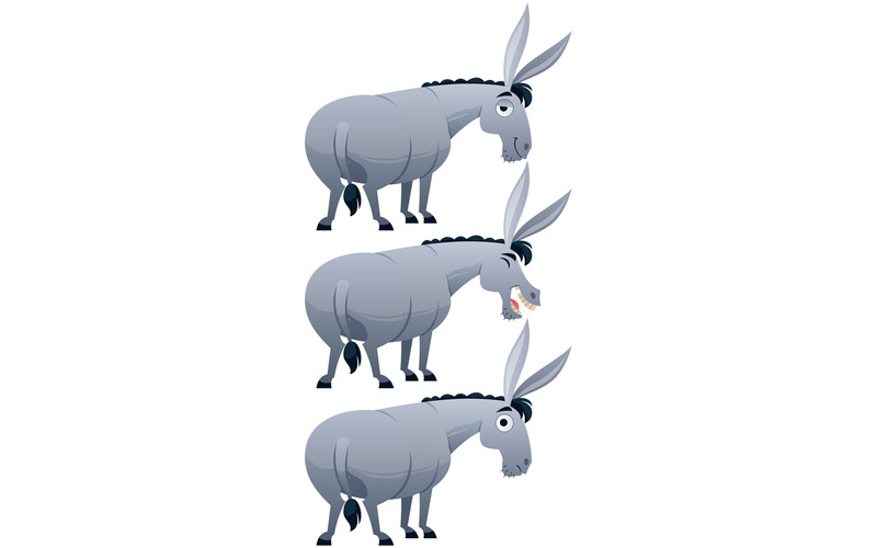 Burro - Ilustración - Características Imagen 1