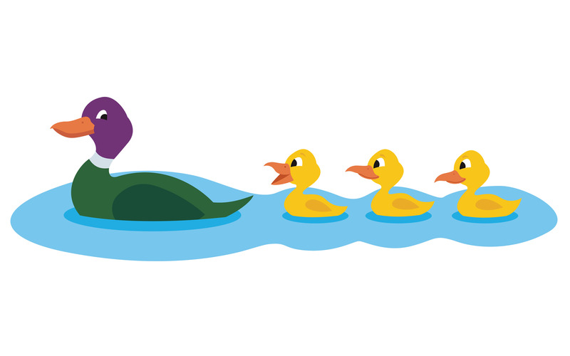 Ducks - Illustration - Features Image 1