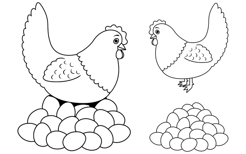 Hen and Eggs Line Art - Illustration - Features Image 1