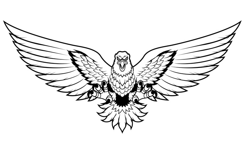 Eagle Attack Mascot Line Art - Illustration - Features Image 1