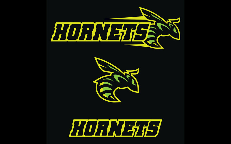 Hornets Mascot - Illustration - Features Image 1