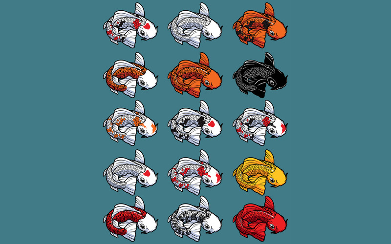 Koi isolerad uppsättning - illustration - Features Image 1