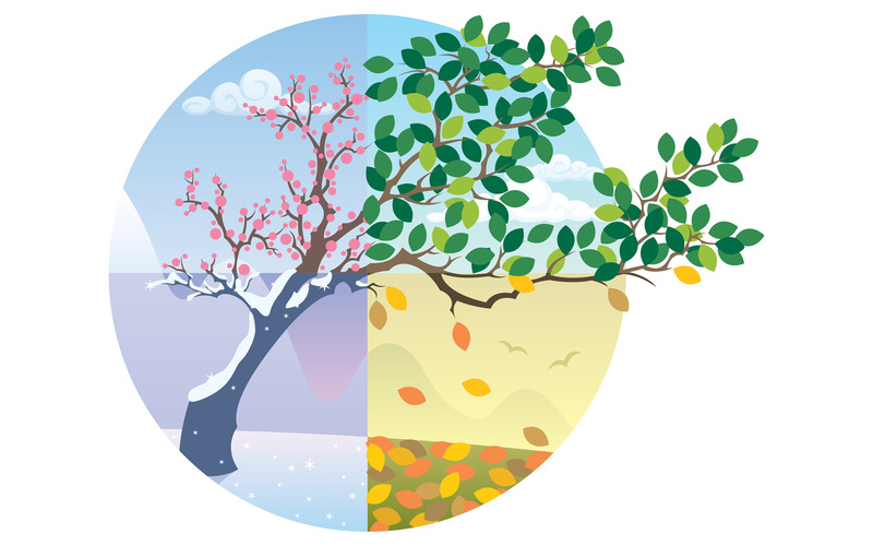 Seasons Cycle - Illustration - Features Image 1