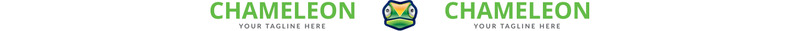 Chameleon Design Studio Logo Template - Features Image 1