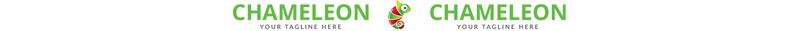 Modern Chameleon Logo Template - Features Image 1