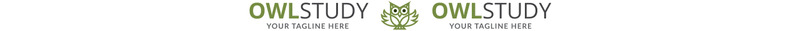 Owl Study Logo Template - Features Image 1