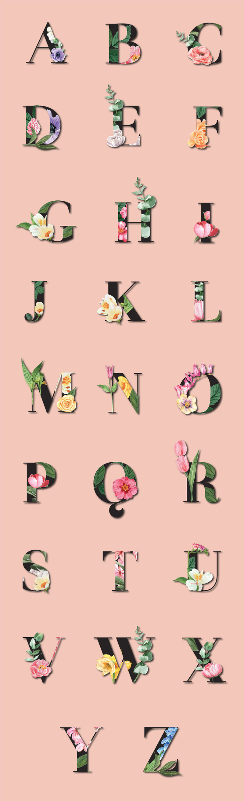 Elementi di alfabeto floreale - Illustrazione - Caratteristiche Immagine 1