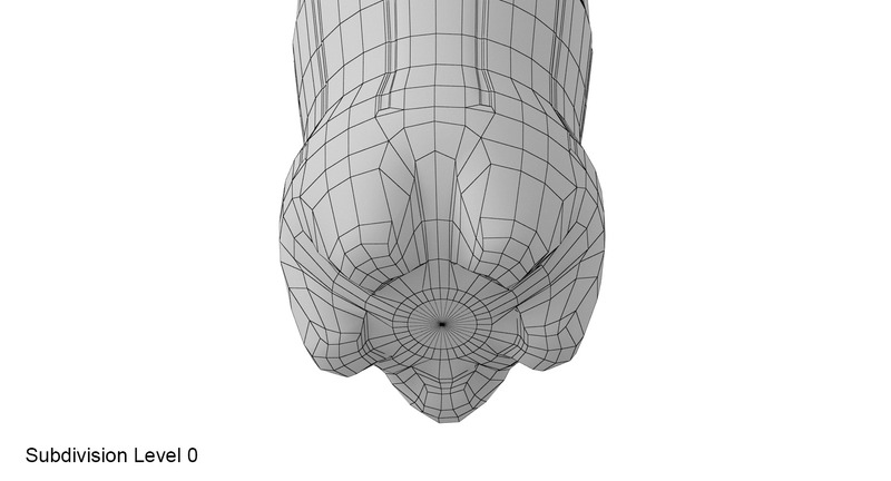 Plastic bottle 3D model - Features Image 18