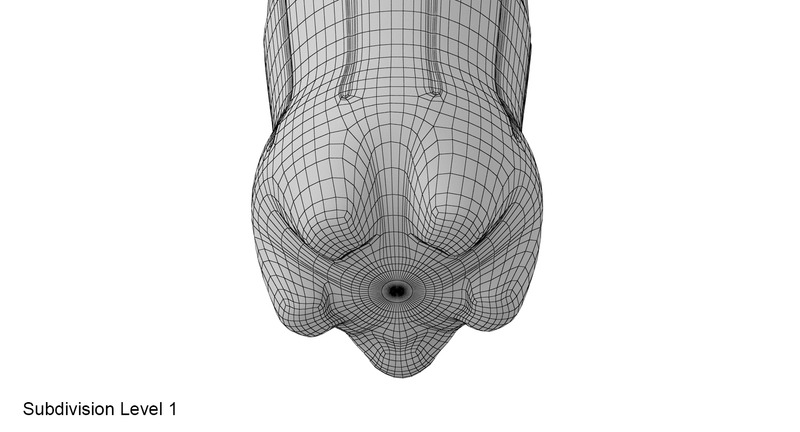 Plastic bottle 3D model - Features Image 25