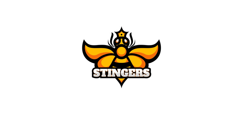Logo Wasp Sports i E-Sport - Obraz funkcji 1