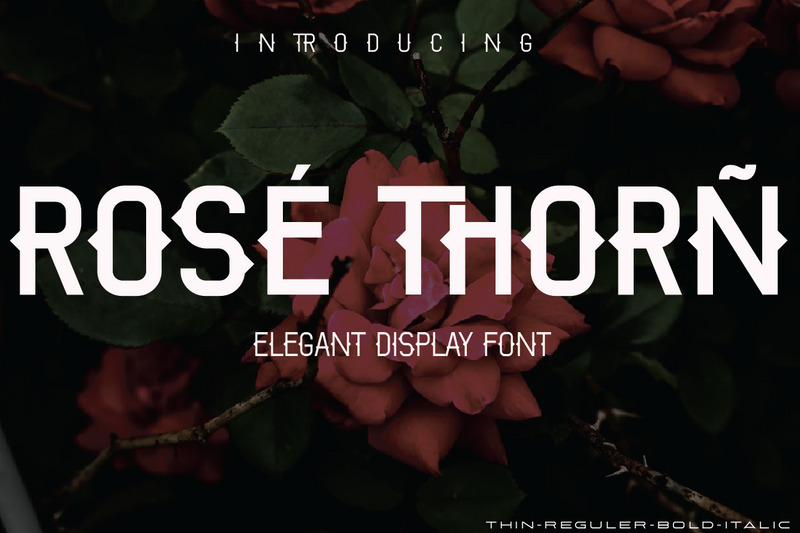 Rose Thorn Elegant Display Font - Features Image 1