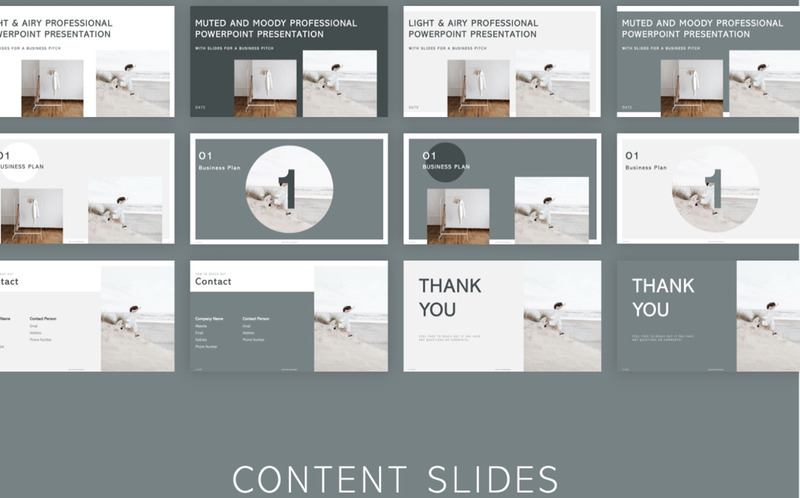 LAir Marin - Pitch & Business Plan PowerPoint Template - Features Image 6