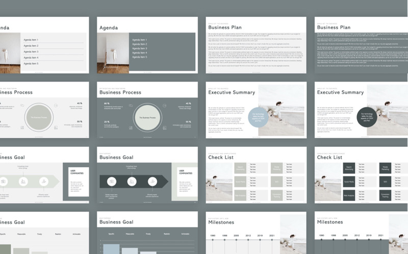 LAir Marin - Pitch & Business Plan PowerPoint Template - Features Image 7