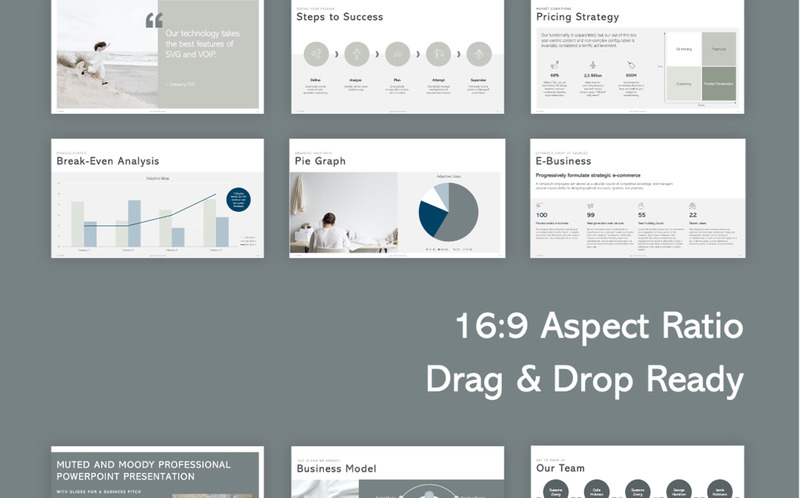 LAir Marin - Pitch & Business Plan PowerPoint Template - Features Image 4