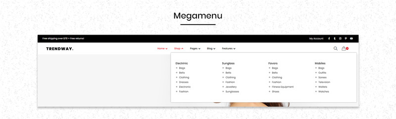 Trendway - Fashion WooCommerce Theme - Features Image 6