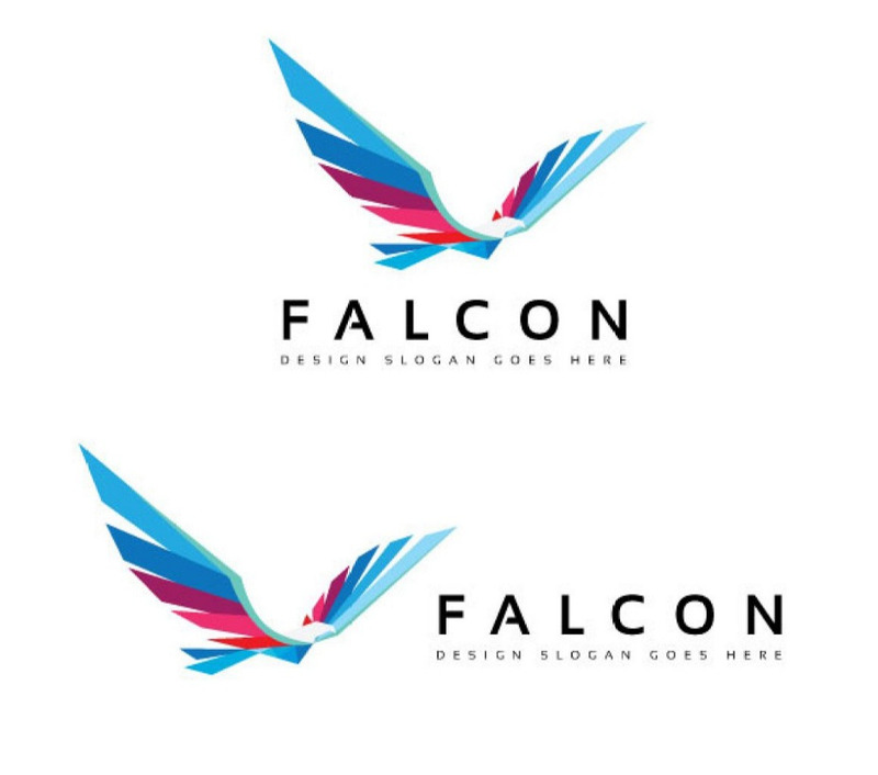Falcon Bird Logo Template - Features Image 1