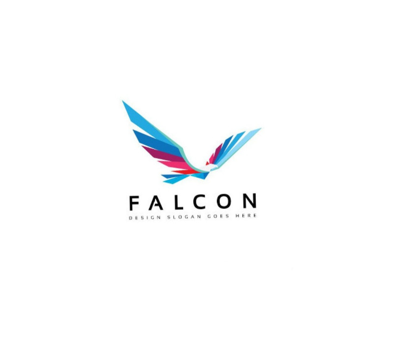 Falcon Bird Logo Template - Features Image 2