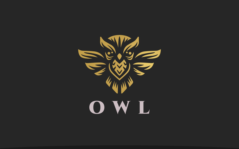 Simple Secure Owl Logo Template - Features Image 1