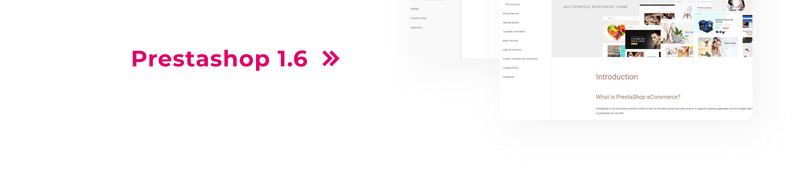 Eveprest - Mehrzweck-E-Commerce-Vorlage PrestaShop Theme - Features Image 10