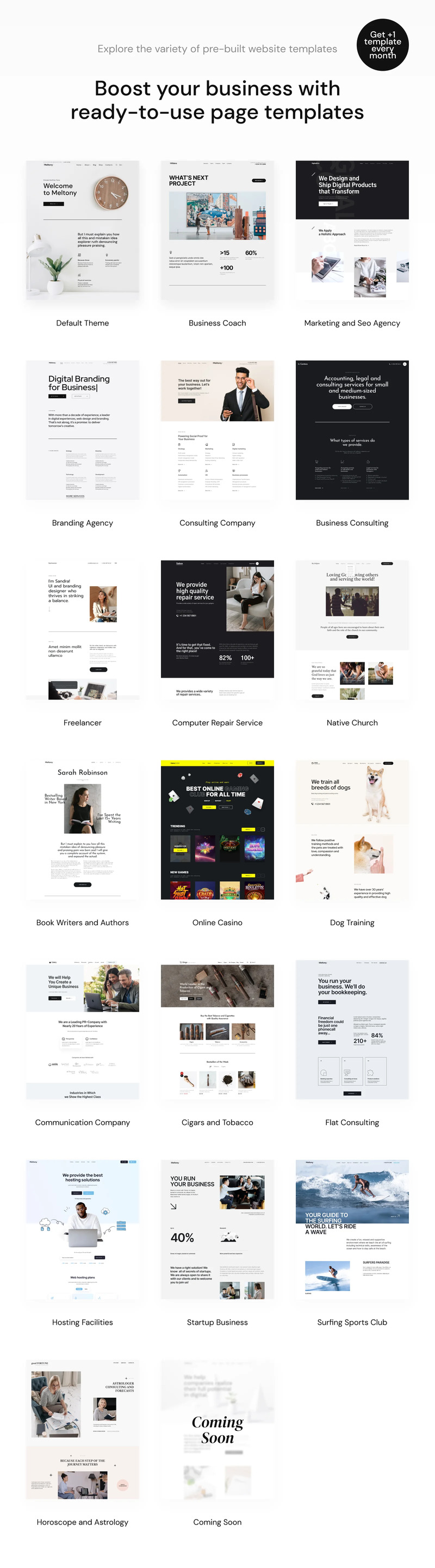 Meltony - 适用于任何企业的极简主义 WordPress 主题 - Features Image 2