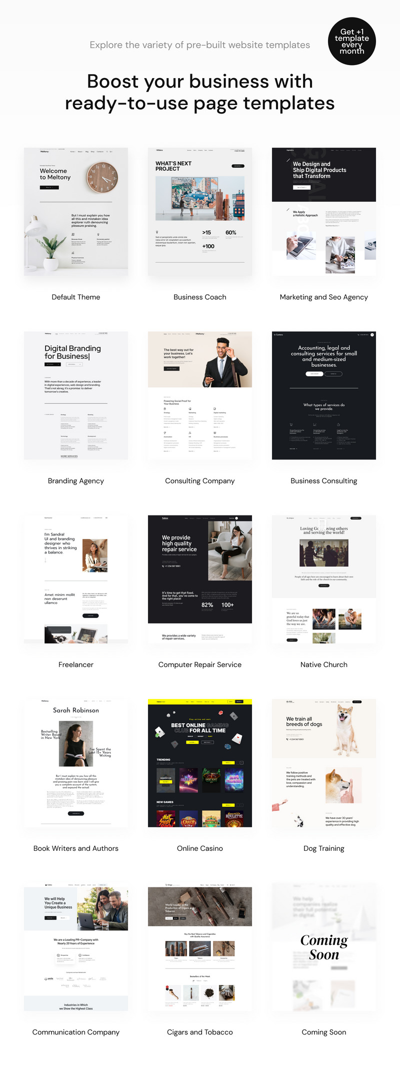 Meltony - Minimalist for Any Businesses WordPress Theme - Features Image 2