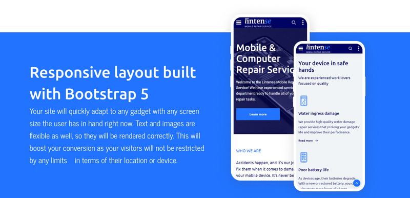Lintense - Sjabloon voor bestemmingspagina voor smartphonereparatie - Features Image 6