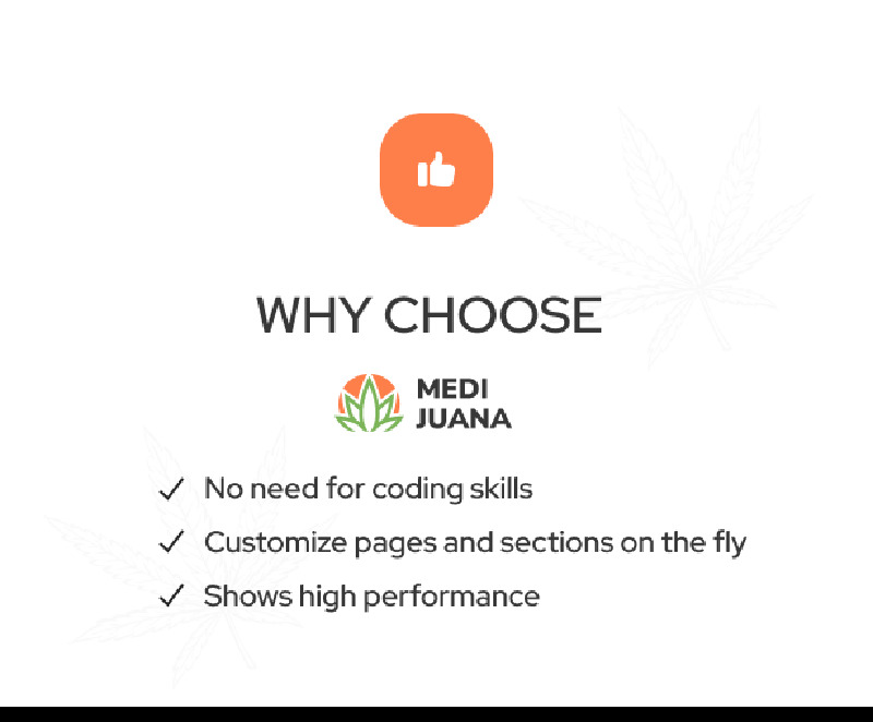 Medijuana – Tema WordPress reattivo per marijuana e cannabis terapeutica - Caratteristiche Immagine 8