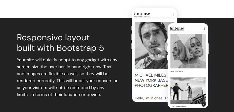 Lintense - Fotograaf Portfolio Landingspagina Sjabloon - Features Image 6