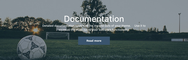 Learol - 足球俱乐部 HTML5 网站模板 - Features Image 8
