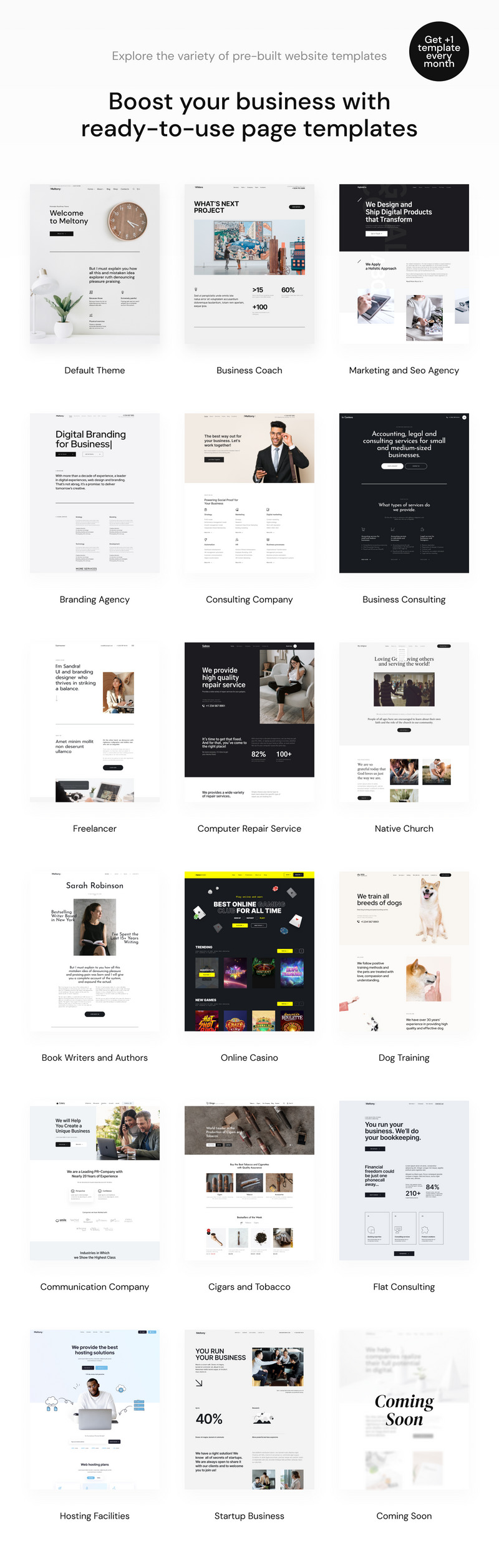 Meltony - минималистичная тема WordPress для любого бизнеса - Изображения фич 2