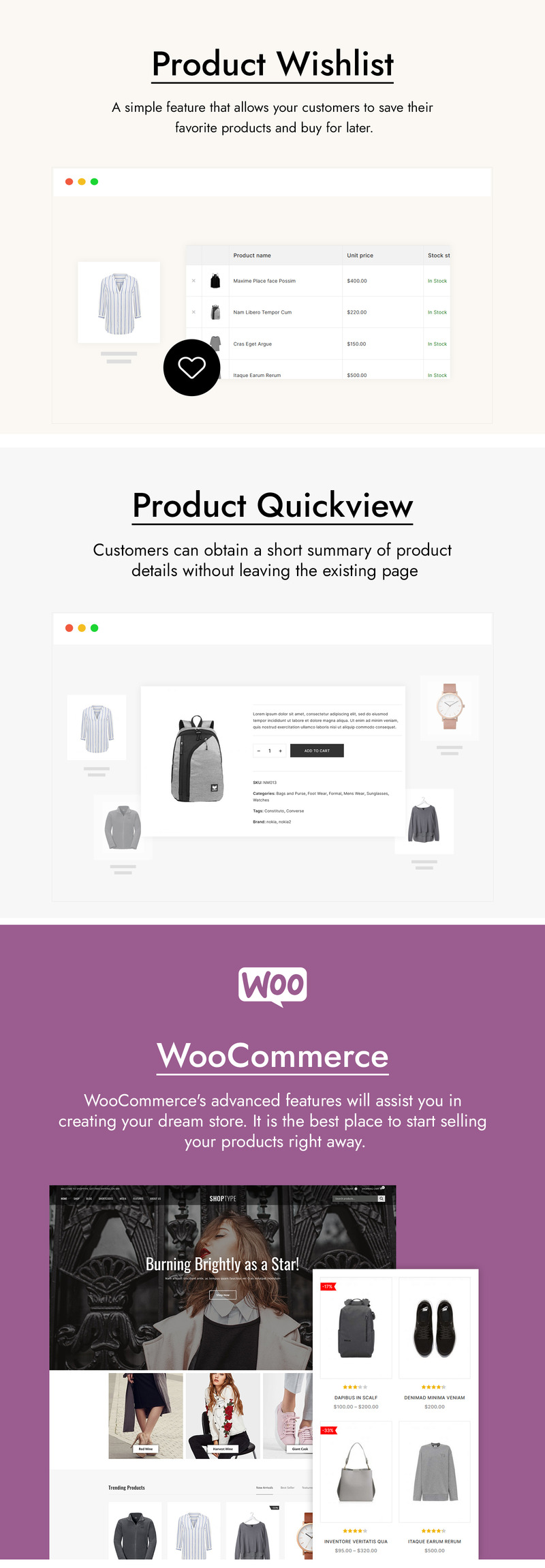 ShopType - Fashion WooCommerce Theme - Features Image 3