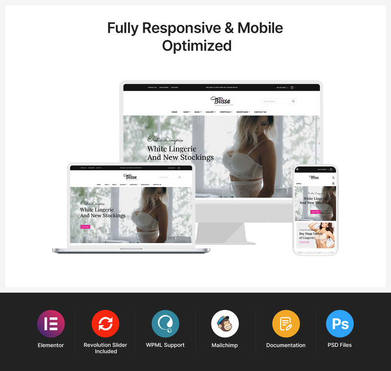 Blisse - Boutique en ligne de lingerie Thème WooCommerce - Features Image 1