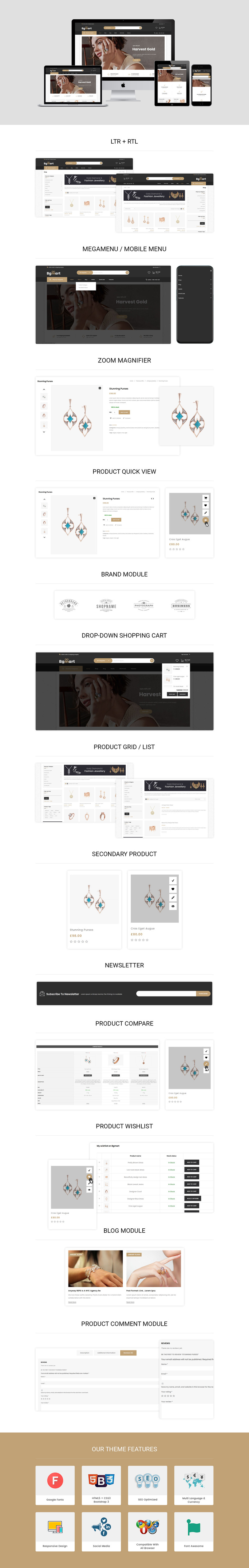 Bgmart - The Jewellery Store Responsive WooCommerce Theme - Features Image 1