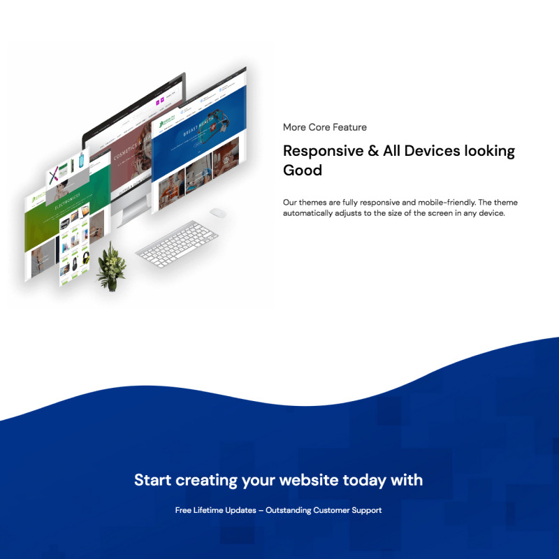 Buzz Store Free - Online WooCoomerce Store Theme - Features Image 4