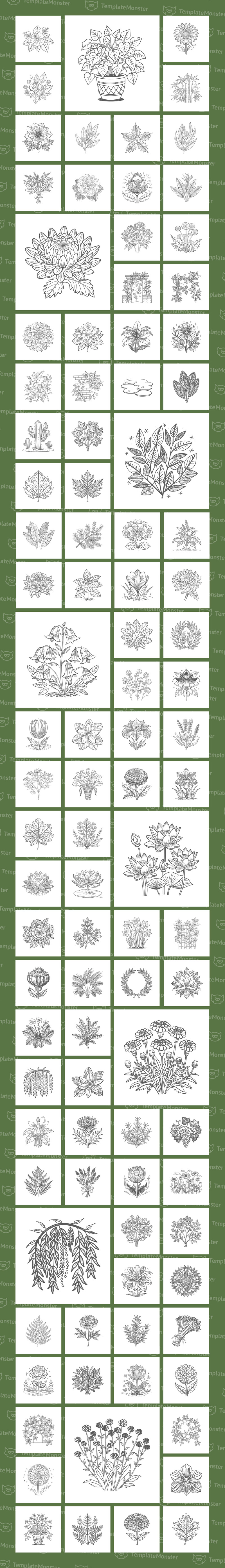 Blumen- und Botanik-Illustrationsset - Eigenschaften Bild 1