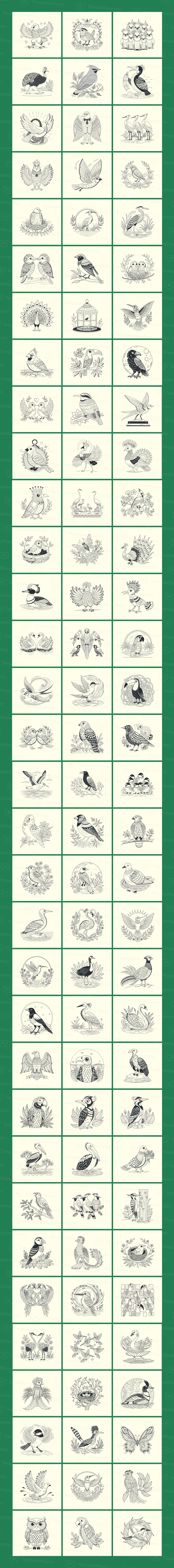 Ilustrações de pássaros vintage - Features Image 1